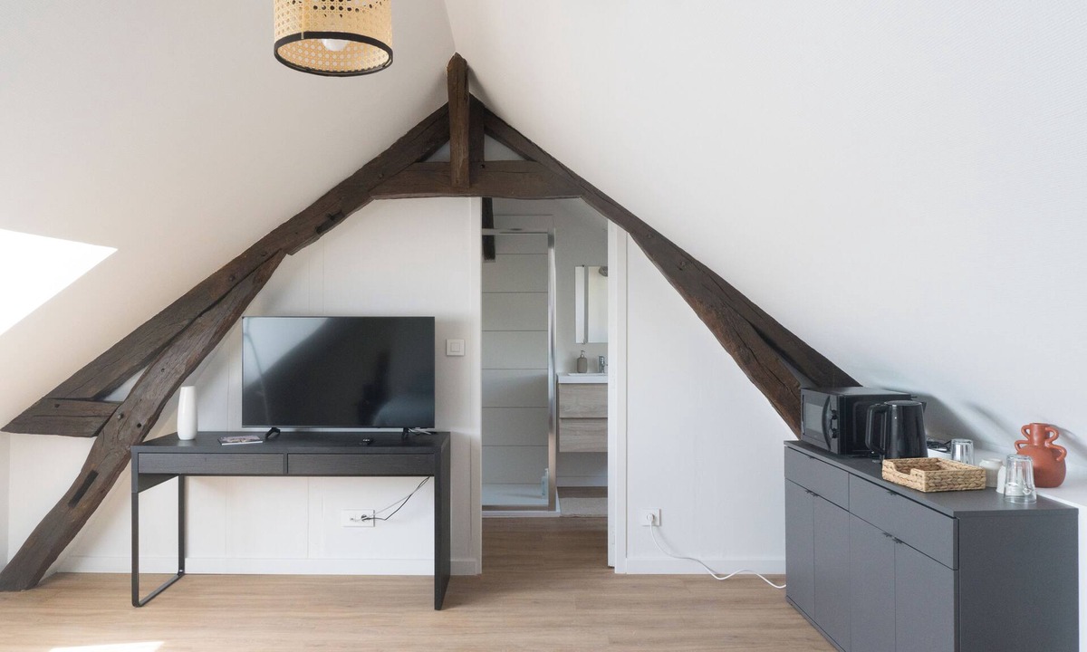 Quartier Pasteur Apartment | 3 cosy apartments for 10