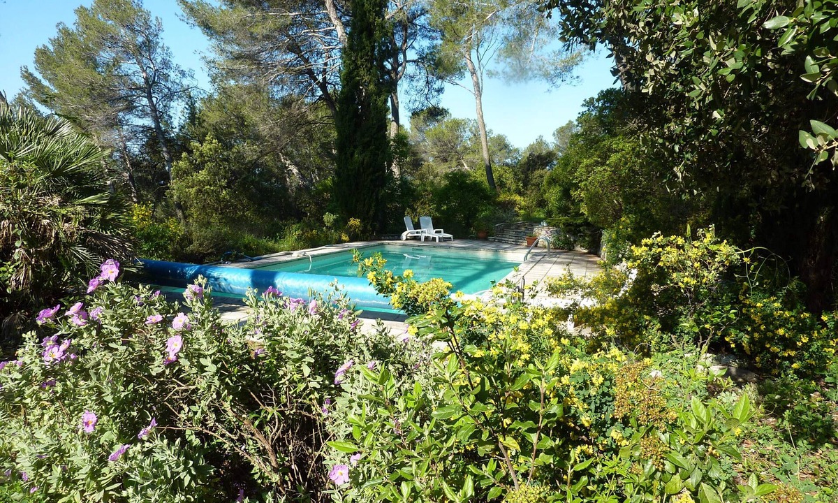 Assas Cottage | 3-room house in the woods in Assas with swimming pool