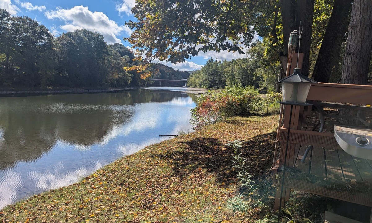 Harpursville Cottage | 3 Season Getaway Right on the River!