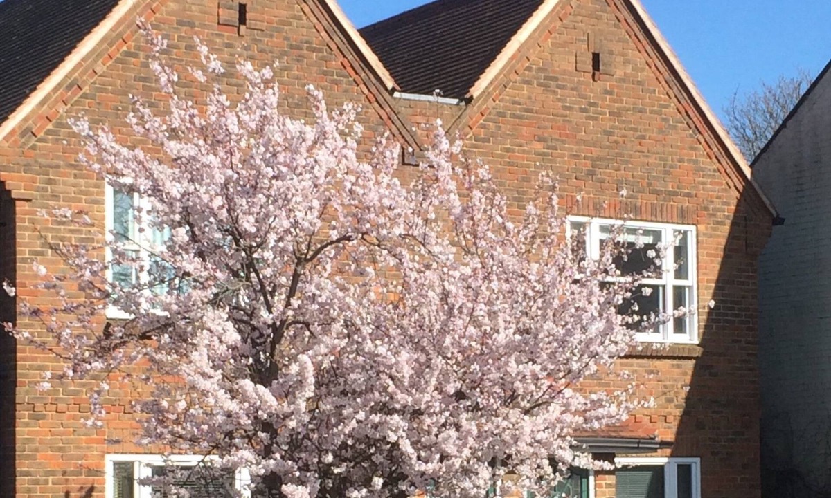 Summertown Apartment | 3 Summertown Court