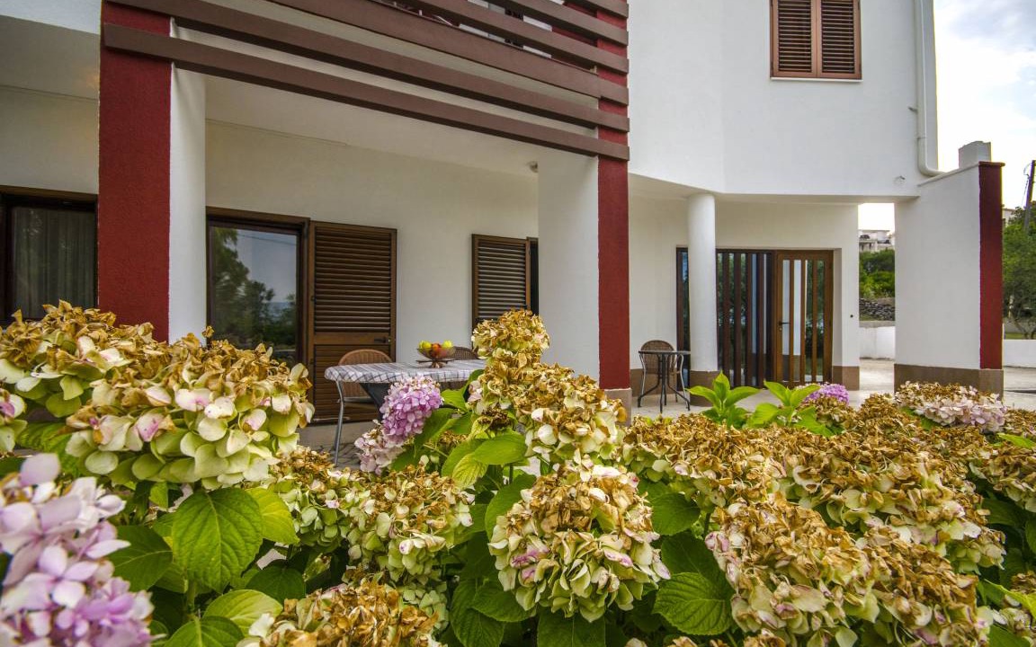 Slatine Apartment | 30 m² Apartment ∙ 1 bedroom ∙ 3 guests