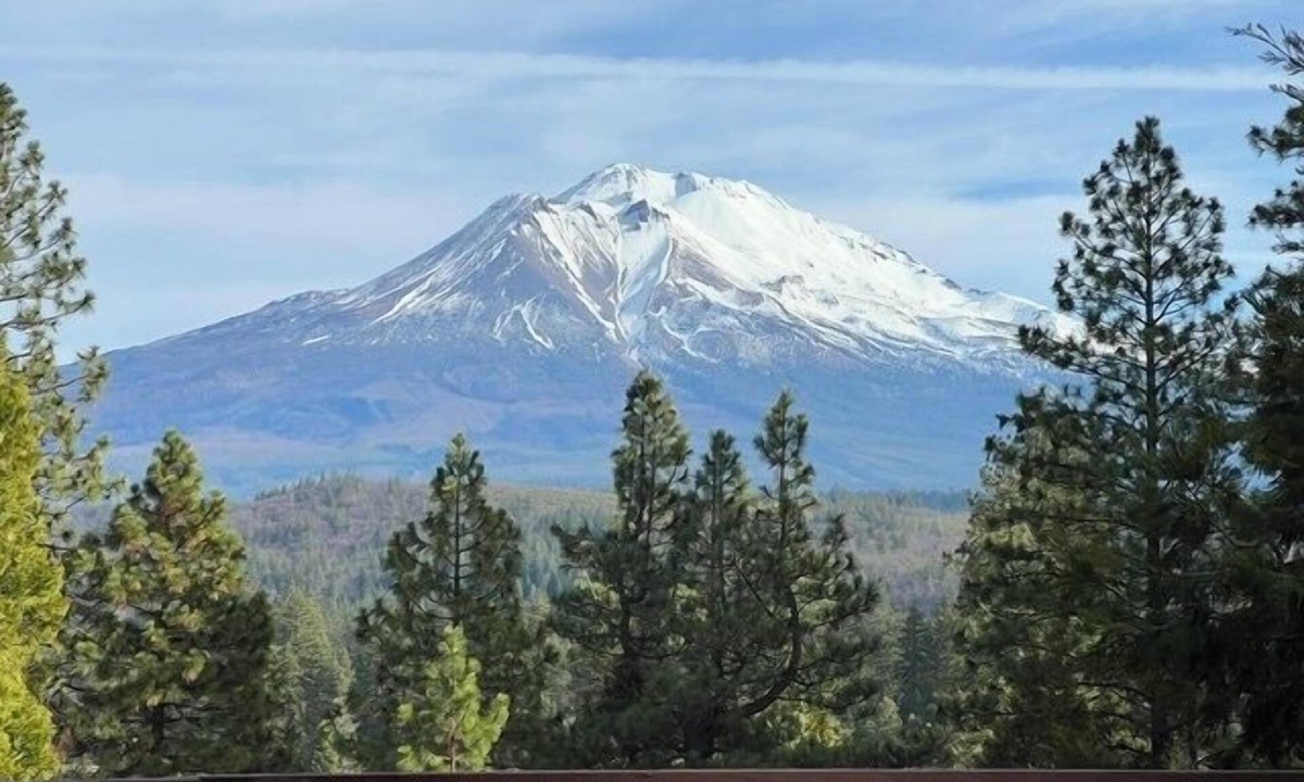 Weed House | 30 Night Minimum, Shasta View Villa