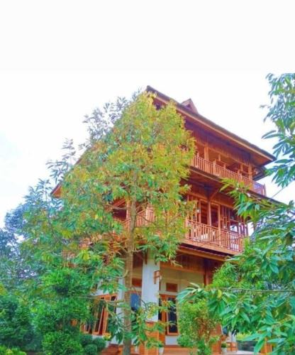 Kecamatan Sikur Cabin | 361 Alam