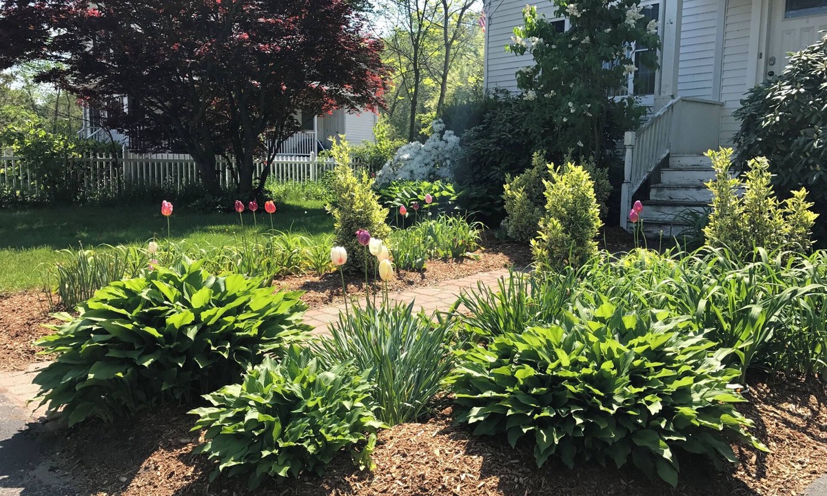 Norton House | 3BR WORLD CUP, Gillette, Xfinity, Wheaton College, Close to Foxboro