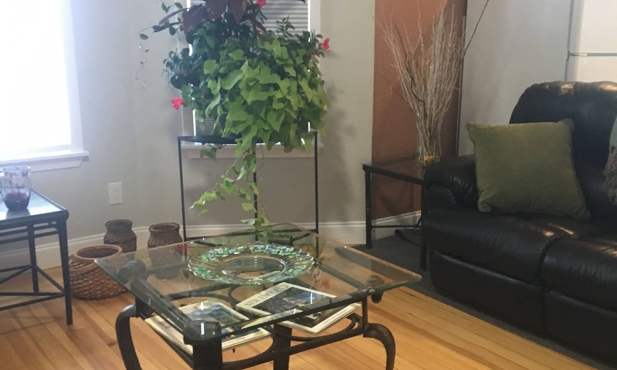 Winter Hill Apartment | 3RD Floor unit · Sun-Drenched, Quiet 3rd Floor,3 bedrooms