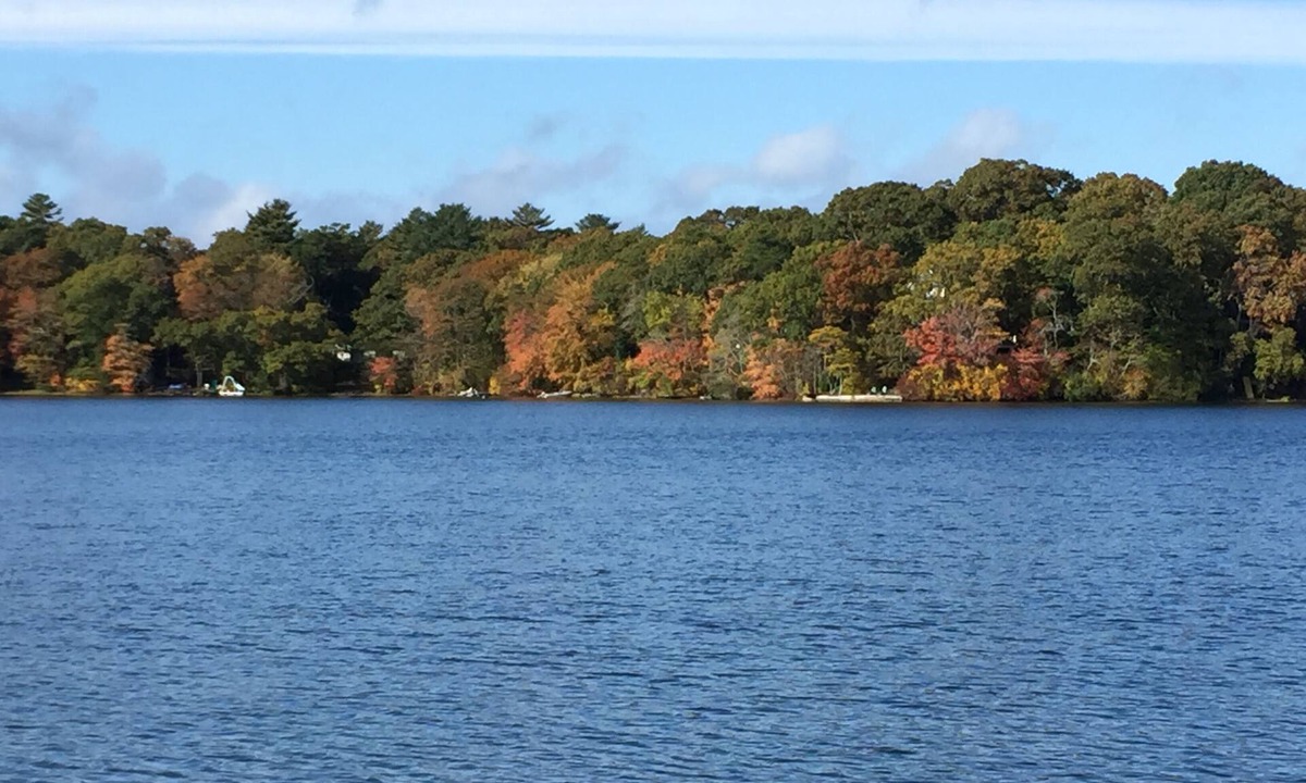 Cedar Bushes House | 4+ Acre Pond Front Retreat, Basketball Court
