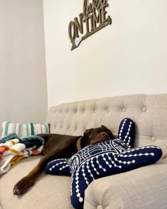 Edinboro House | 4 bdr Cottage Edinboro Lake Views Dogs Welcome