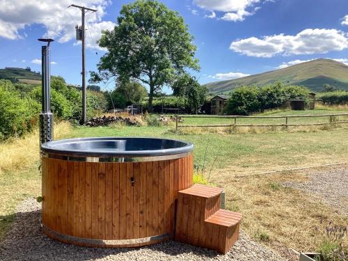 Llanfihangel Tal-y-llyn House | 4 Bed in Talgarth BN182