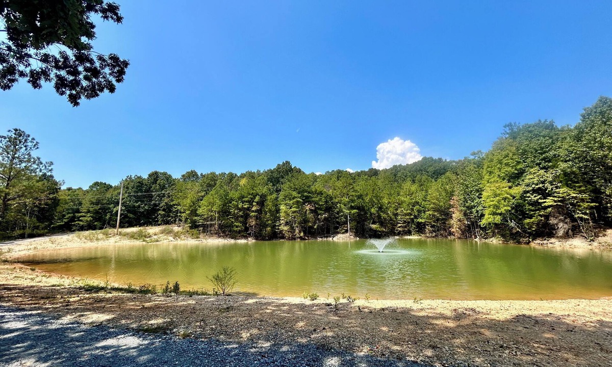 Dover Other | 4-bedroom farmhouse on beautiful, secluded homestead with family/pet amenities