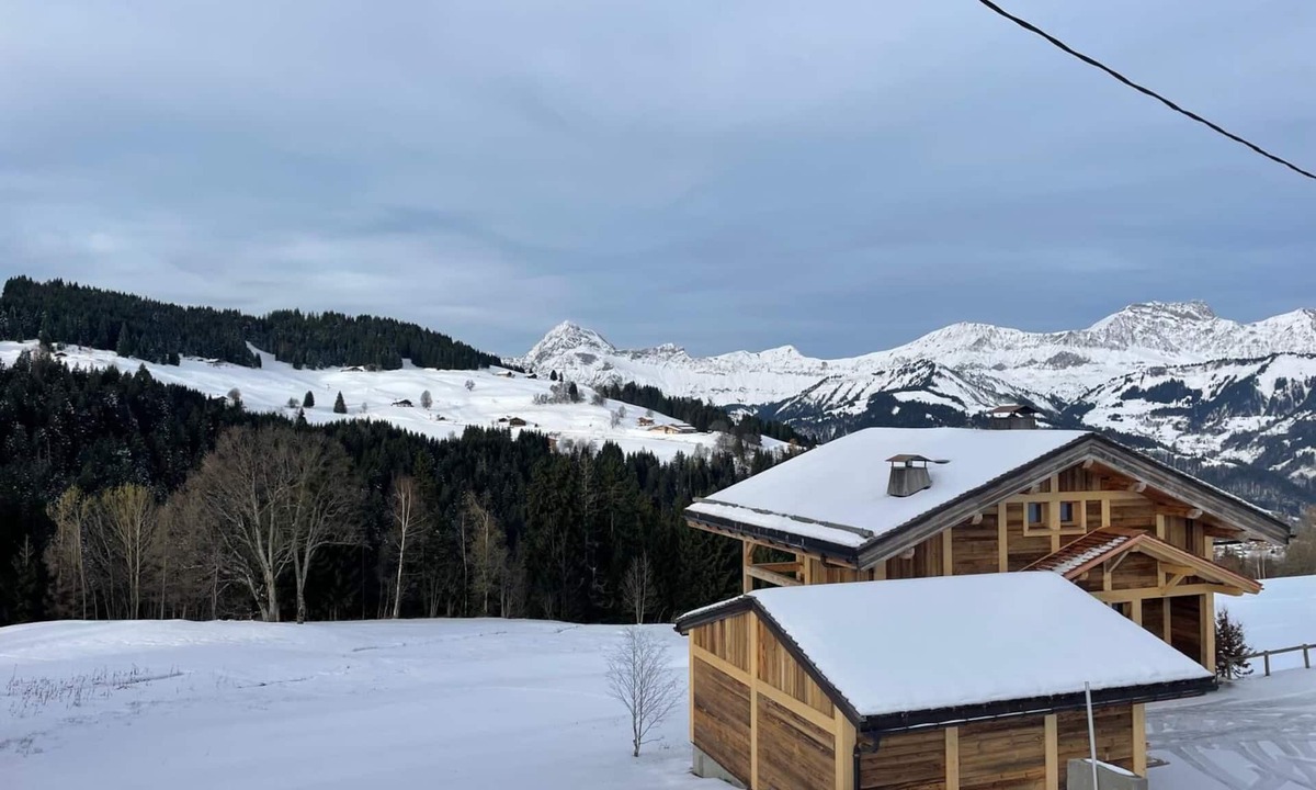 Notre-Dame-de-Bellecombe Ski Chalet | 4*contemporary chalet with breathtaking views, 350 m ski lift, in the heart of the diamond area