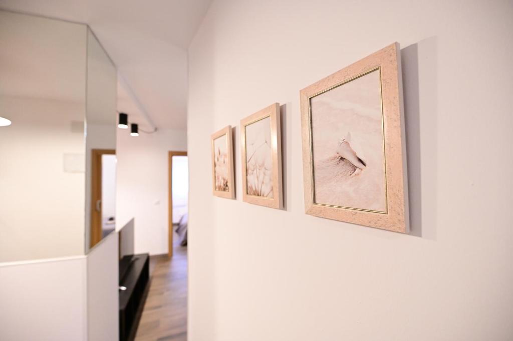 Loredo Apartment | 4 Mares Apartamentos M