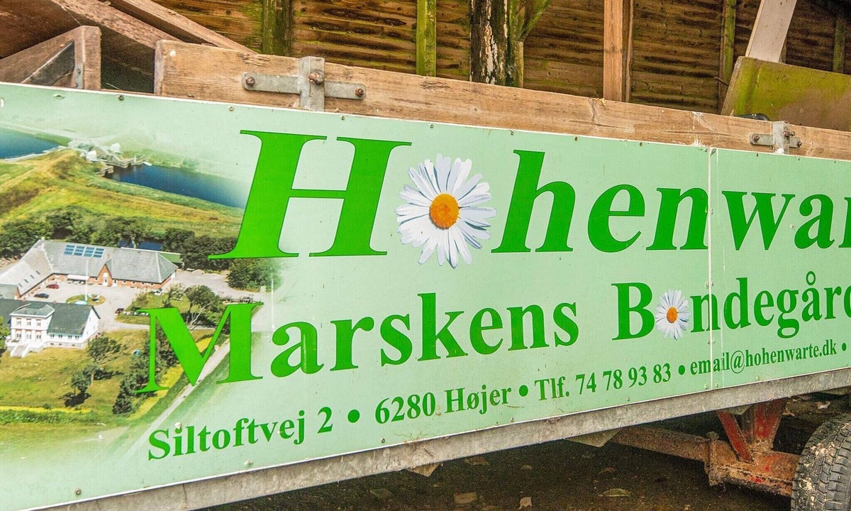 Hojer House | 4 person holiday home in Højer