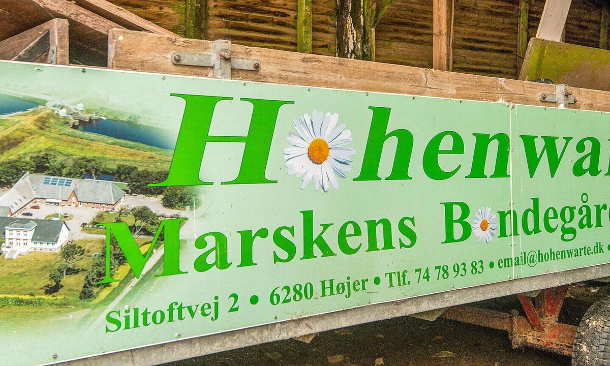 Hojer House | 4 person holiday home in Højer