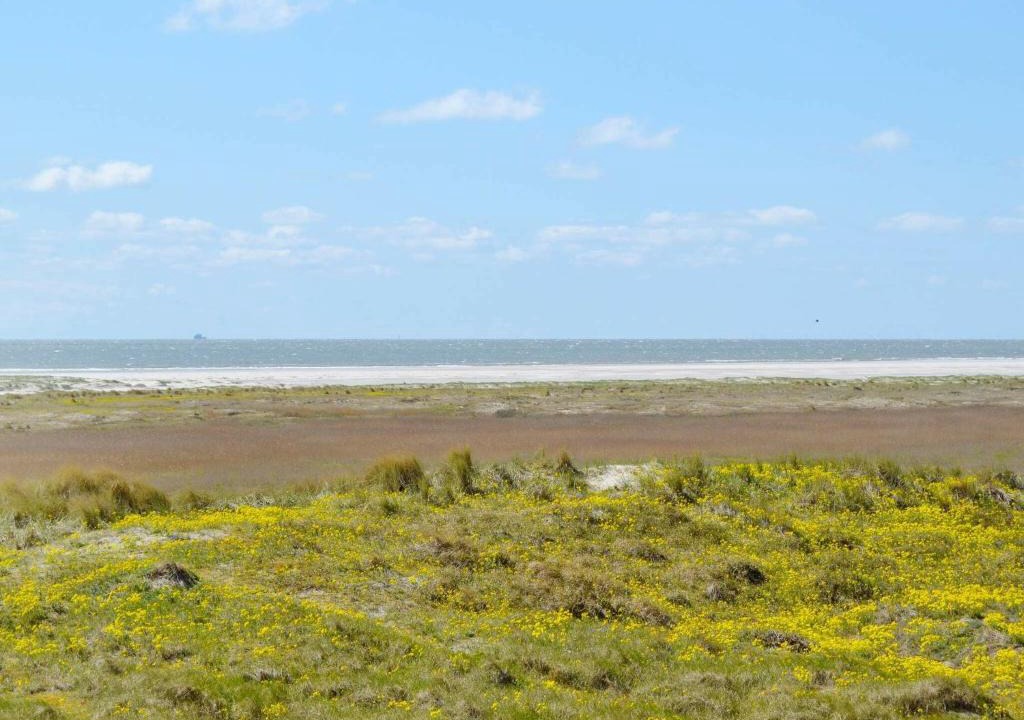Rindby Strand Apartment | 4 person holiday home in Fan