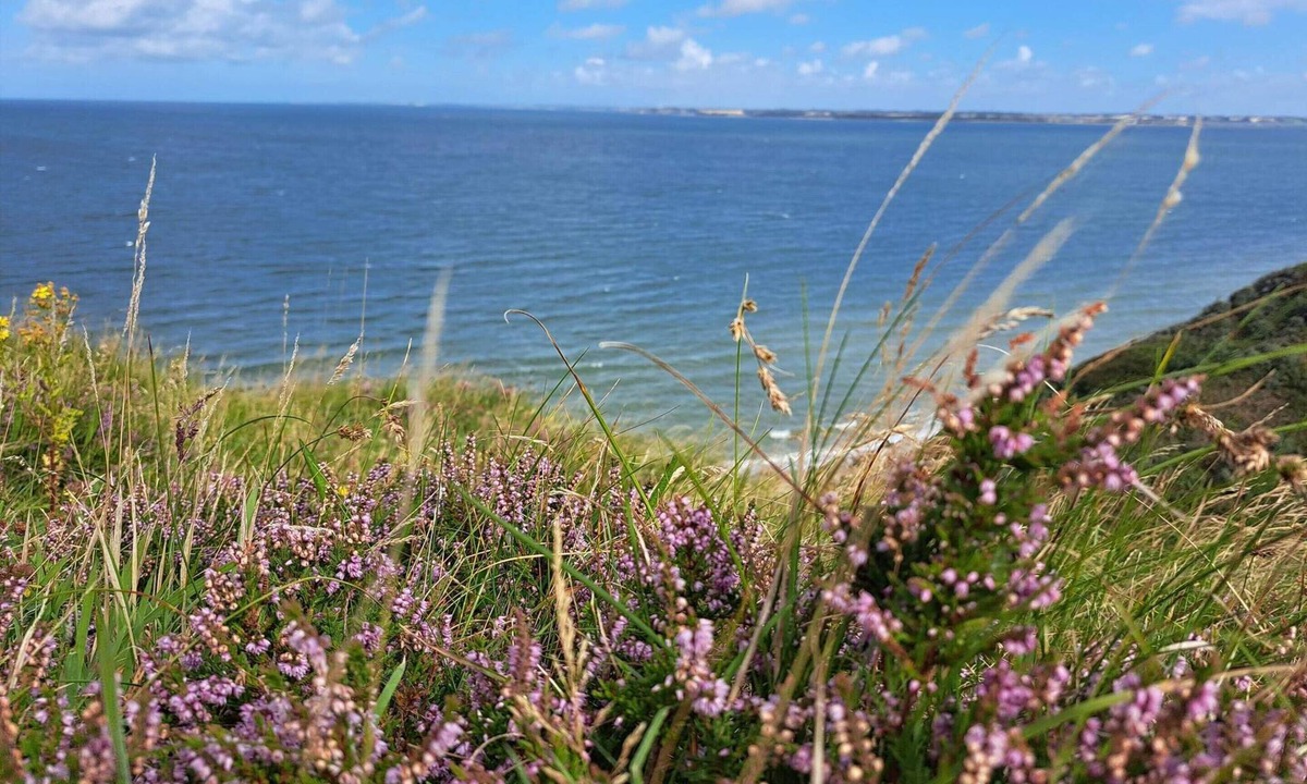 Remmer Strand House | 4 Star Holiday Home in Struer