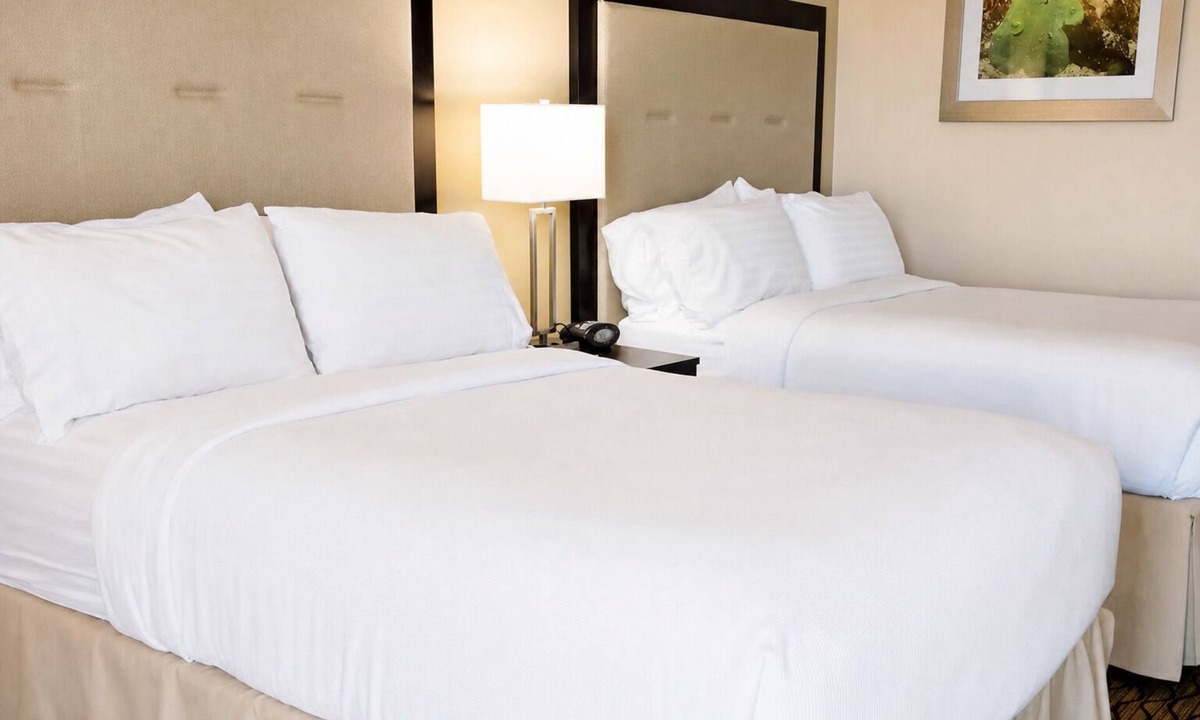 Central City Hotel | 4 Units | Harbor Area Stay w/Pool Access | Near Museum of Science & History