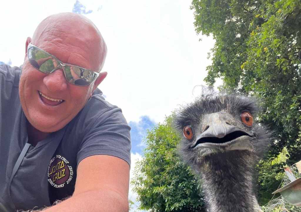 Jumbuk House | 4 Winds Farm Homestay