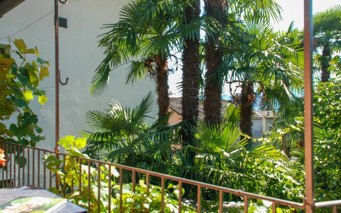 Gordola Other | 45 m² Accommodation ∙ 1 bedroom ∙ 3 guests