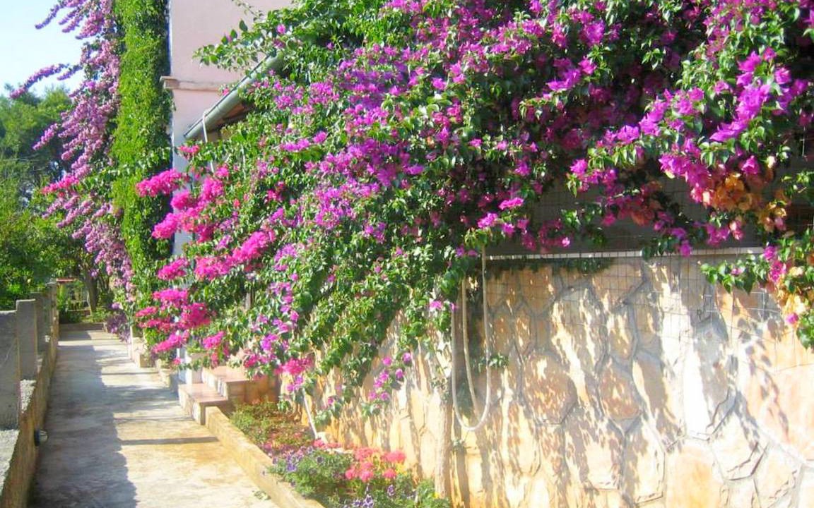Island Hvar Apartment | 45 m² Apartment ∙ 2 bedrooms ∙ 6 guests
