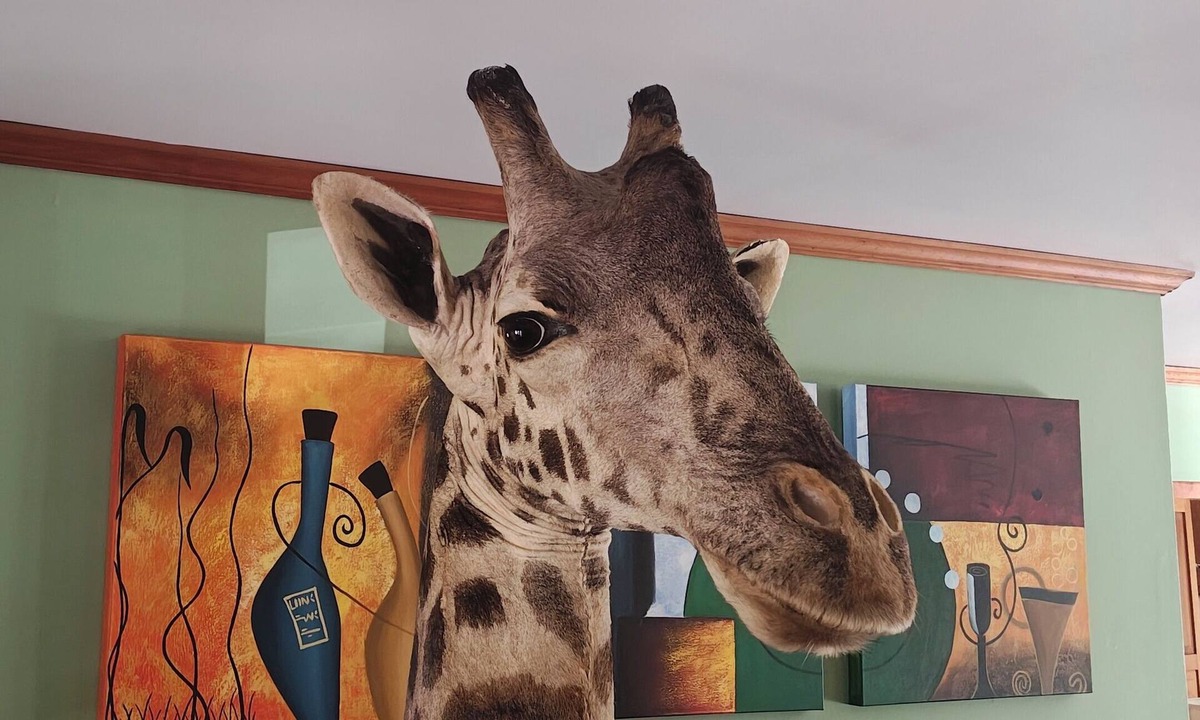 State College House | 5 Bedroom house in Toftrees in private setting on golf course