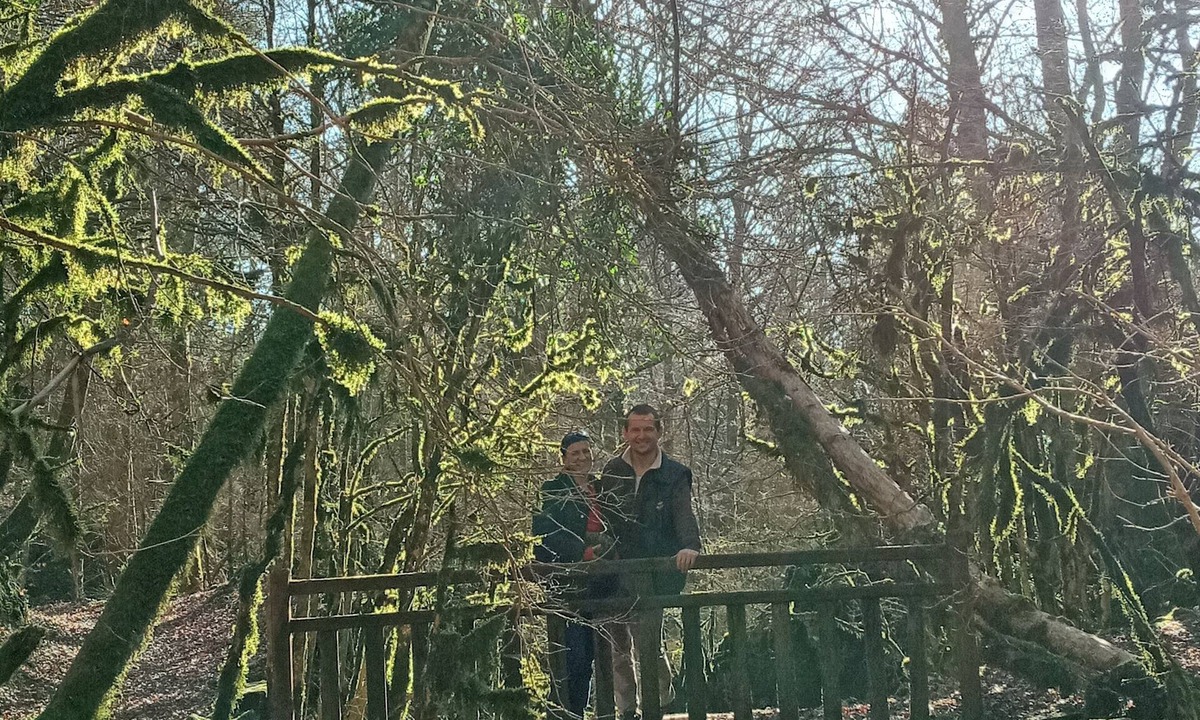 Villereau Bed & Breakfast | 5 ROOMS FOR A GREEN VACATION