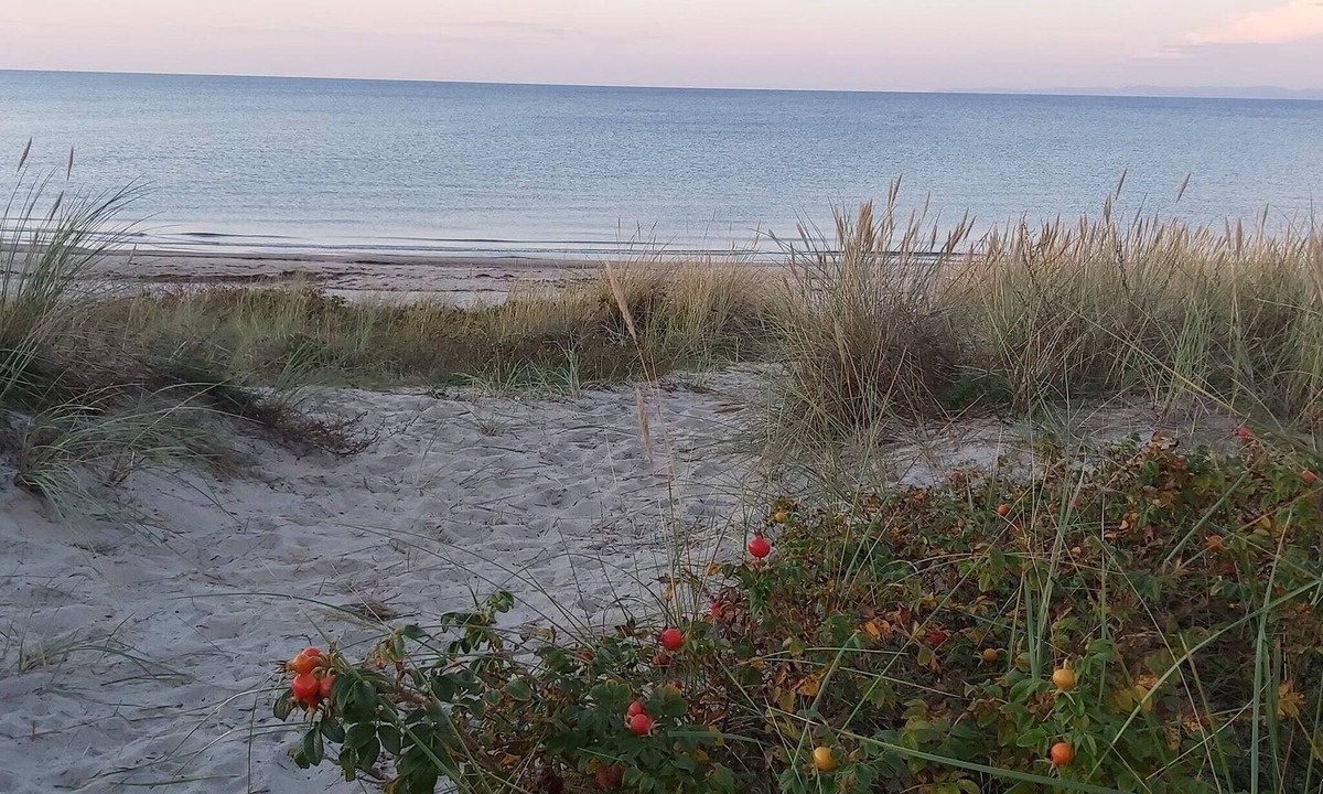 Hornbaek House | 5 star holiday home in Hornbæk