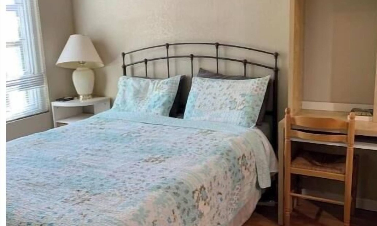 University South Apartment | 500 #1, Studio, Dwntwn, Hrdwd