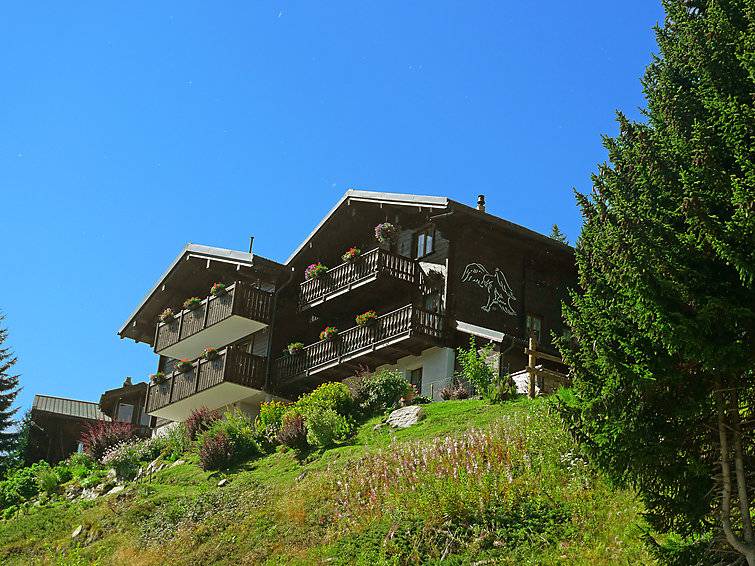 Bettmeralp Apartment | 53 m² Apartment ∙ 2 bedrooms ∙ 4 guests