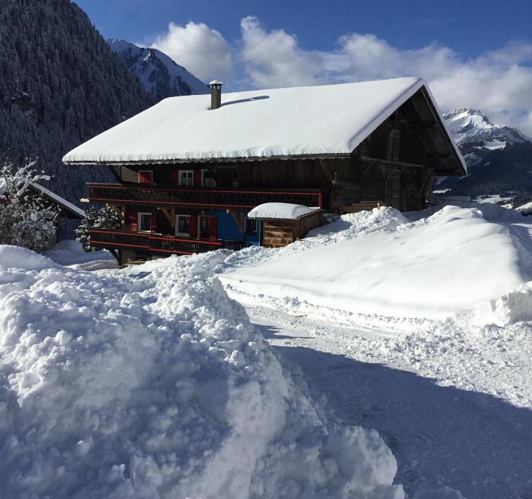 Chatel Apartment | 538 Route de la Bechigne