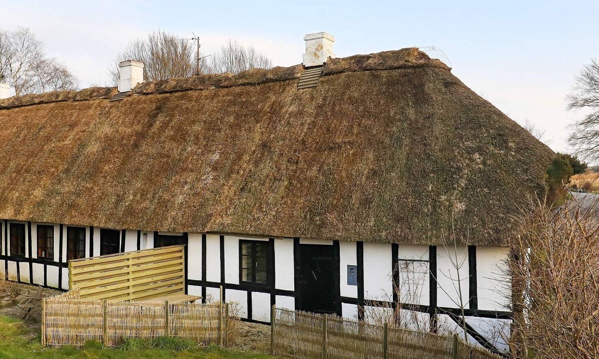 Ebberup House | 6 person holiday home in Ebberup
