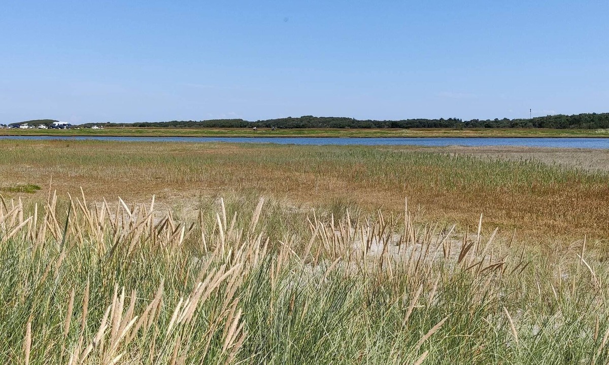 Vestero Havn House | 6 person holiday home in Læsø-By Traum