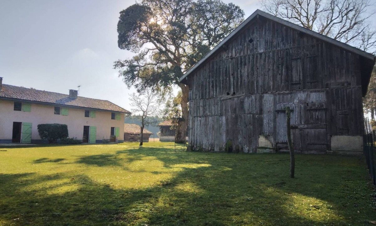 Vielle-Saint-Girons Apartment | 6 Room apatement between forest and ocean