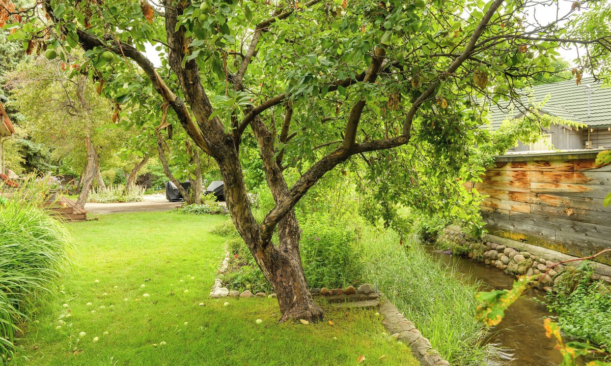 Lander House | 7 Mi to Sinks Canyon: 'Creekside Place' in Lander