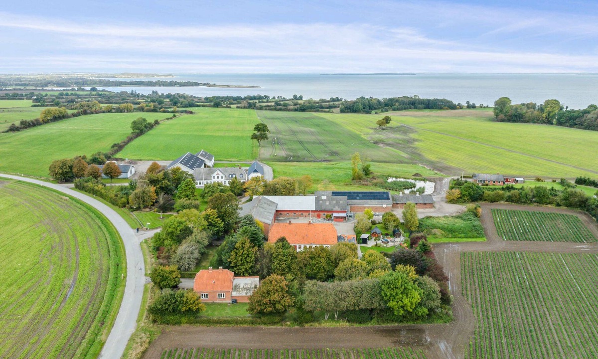 Skovbyballe House | 750 m2 countryside idyll with activity room