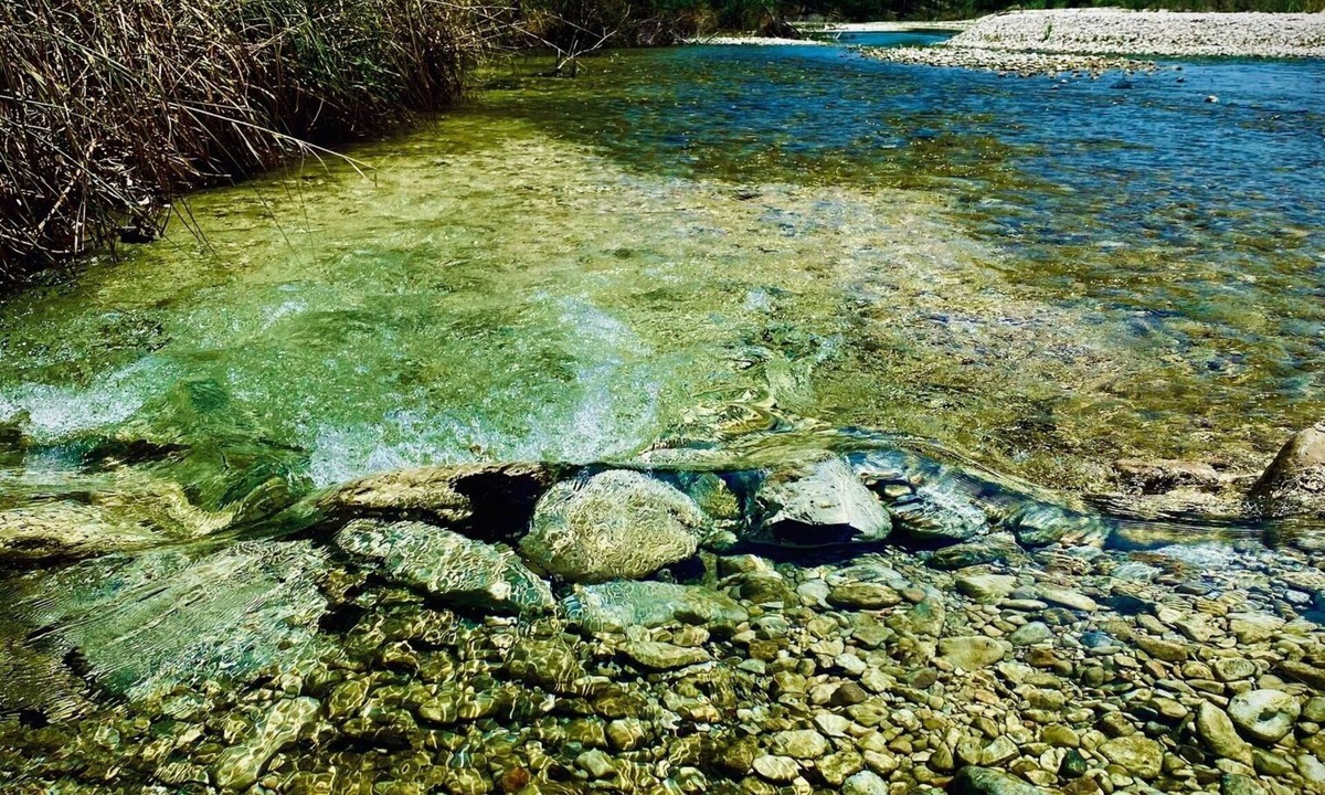 Camp Wood House | 8 Acre Private River Front Sleeps 17-Nomad Ranch