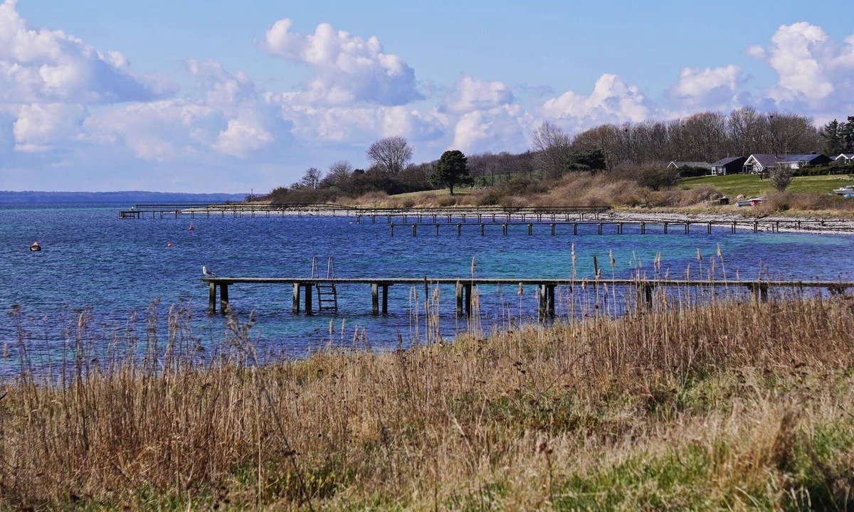 Bøjden House | 8 person holiday home in Faaborg