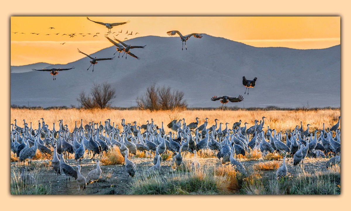 Cochise County House | 817WK 3 National Parks/3 Ghost Town/16 Wineries/25-Acre Birding Ranch Fun ~WIFI~