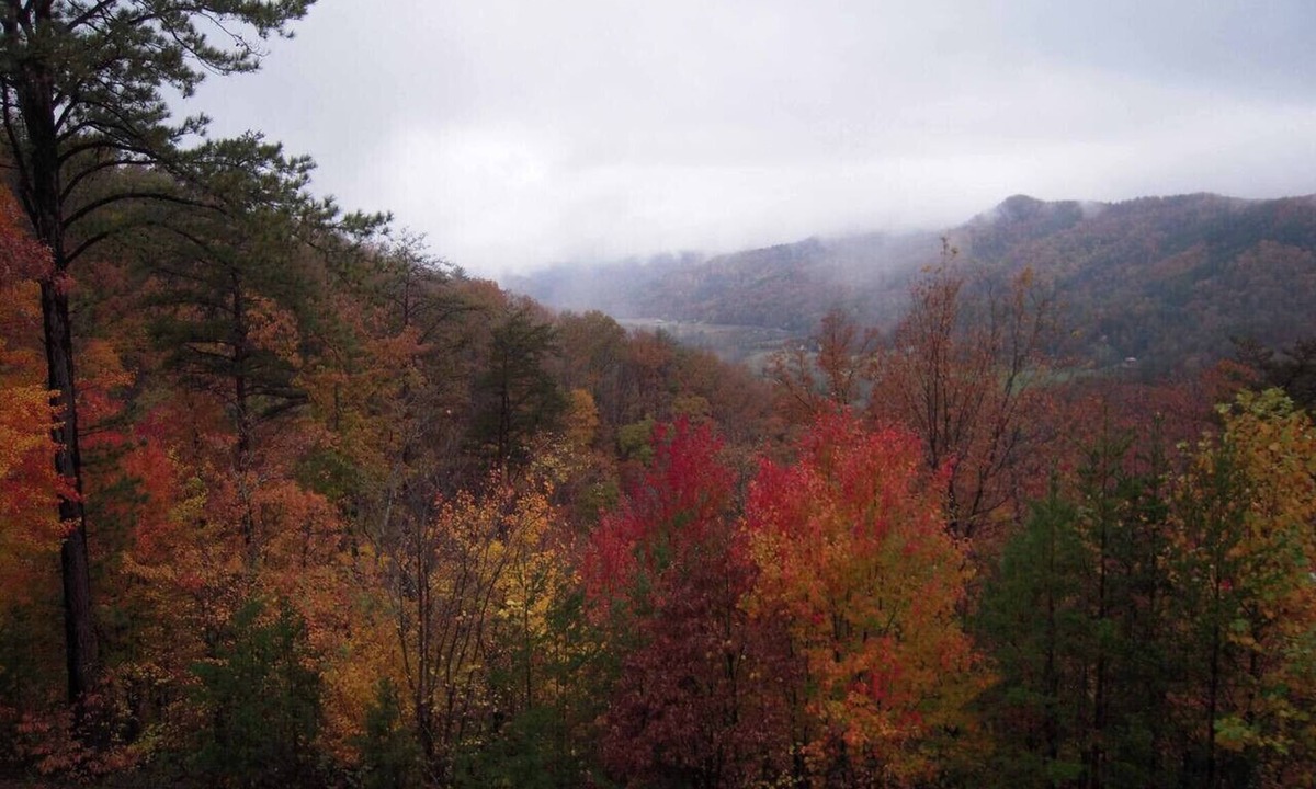 Sevierville Cabin | A Beautiful View in Shagbark