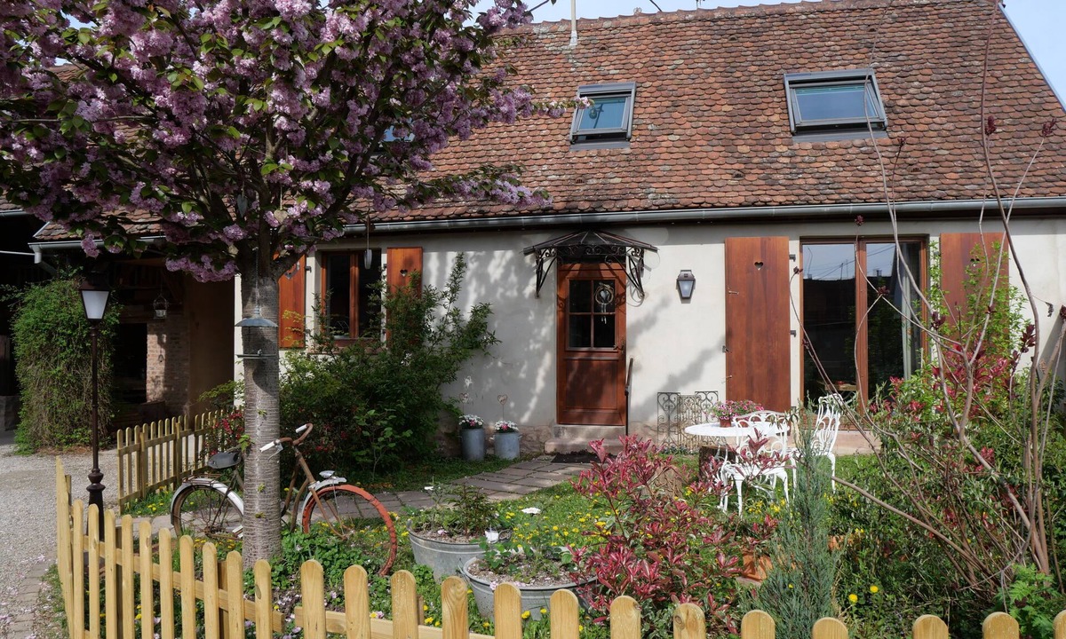 Hilsenheim House | A bouquet on a roof