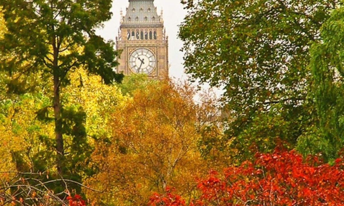 Westminster Apartment | ❄️ A/C. Lift 🛗 EarlyDrop ⏰ FlexPolicy 🔄 King 👑 Full Kitchen 👨‍🍳 W/D 🧺