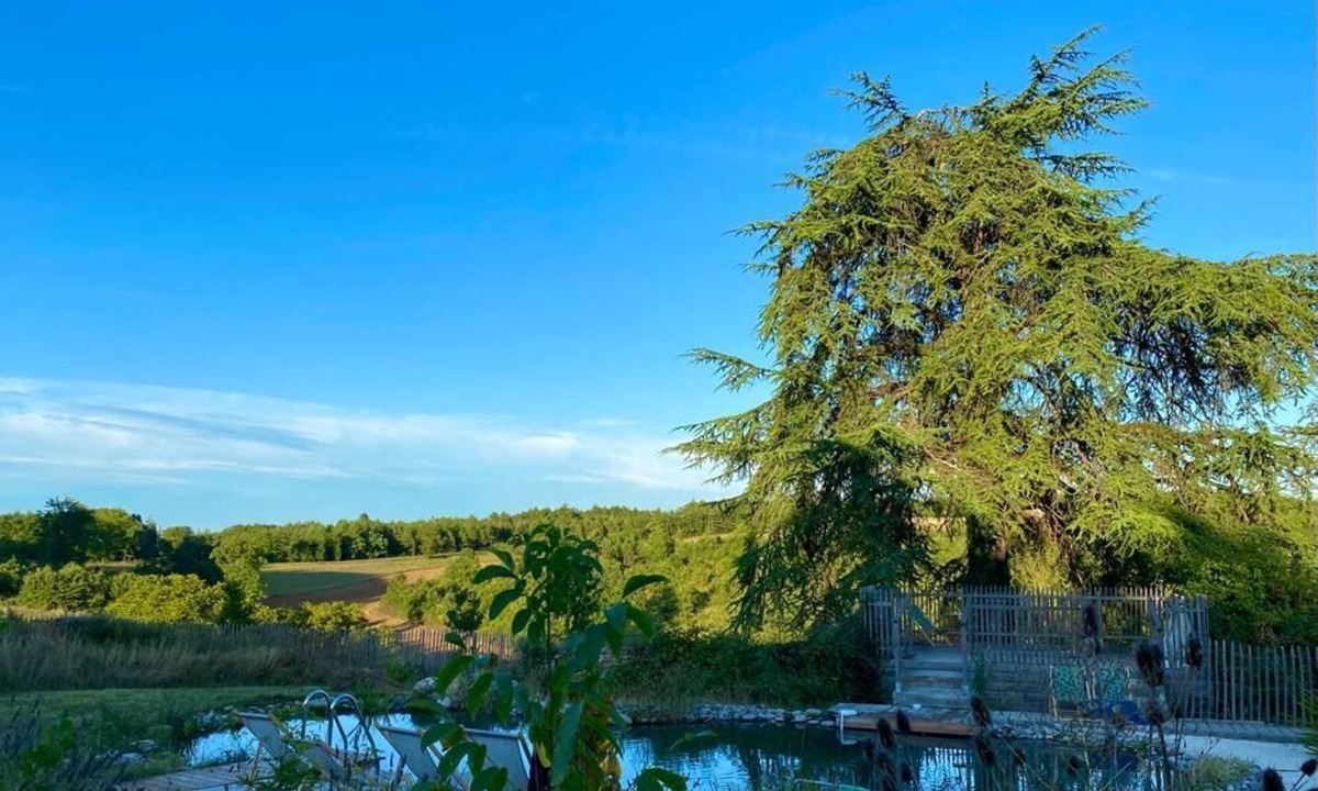 Salignac-Eyvignes House | A charming and peaceful old barn surrounded with nature