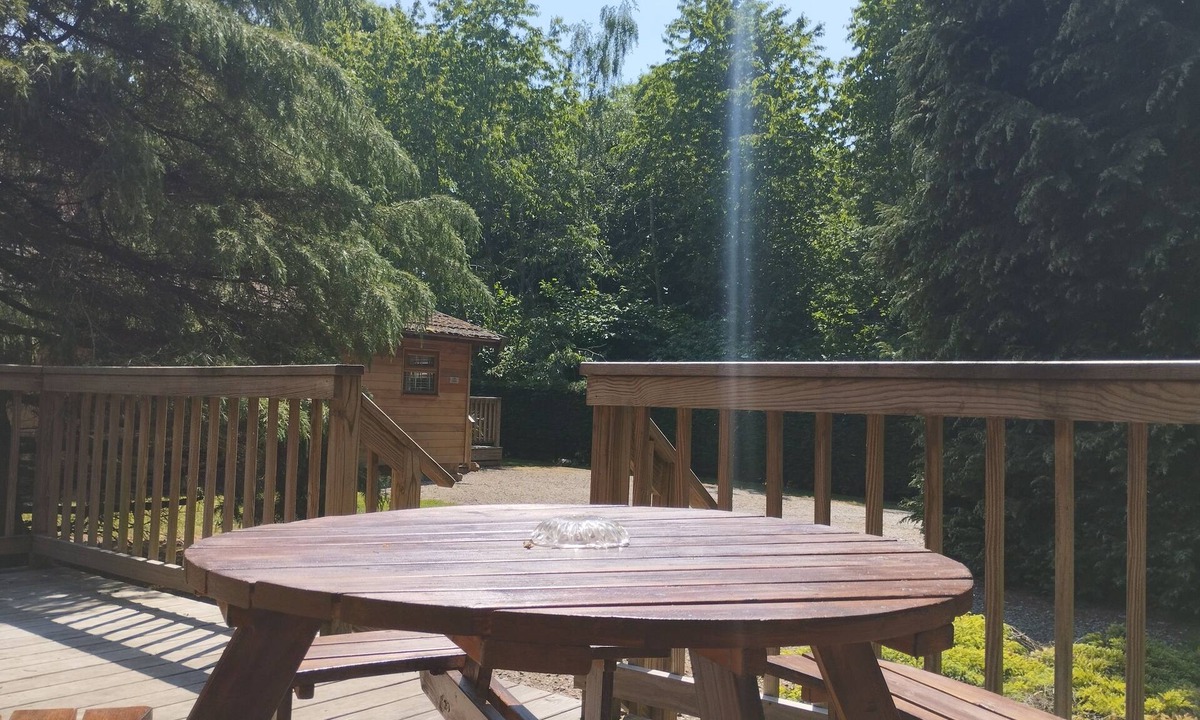 Thornton Steward Cabin | A charming & traditional Scandinavian log cabin within a tranquil setting.