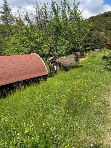 Tralonca Cabin | A Chjusella di E Sertine