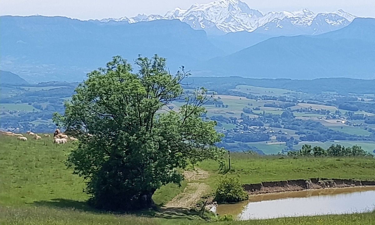 Droisy Condo | A cosy little nest