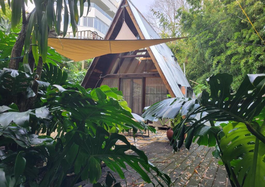 Parnell Ski Chalet | A-frame Studio in Parnell