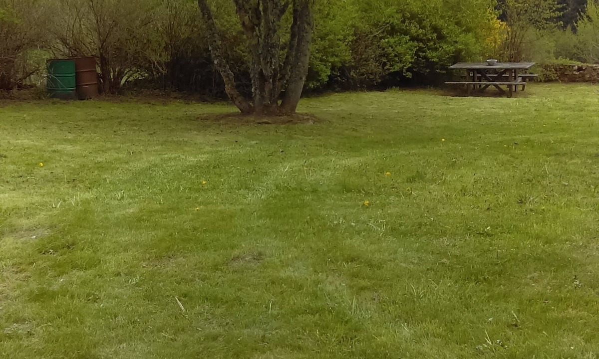 Fayet-Ronaye House | a house surrounded by nature