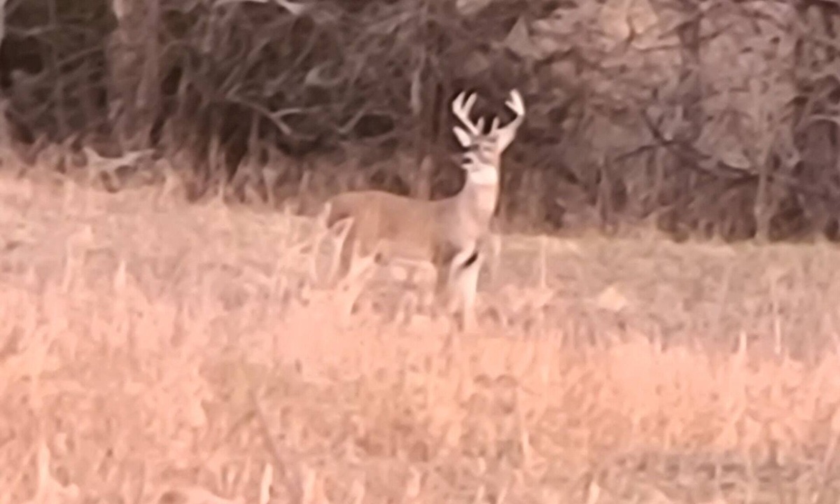 Elk County House | A Hunter's Paradise