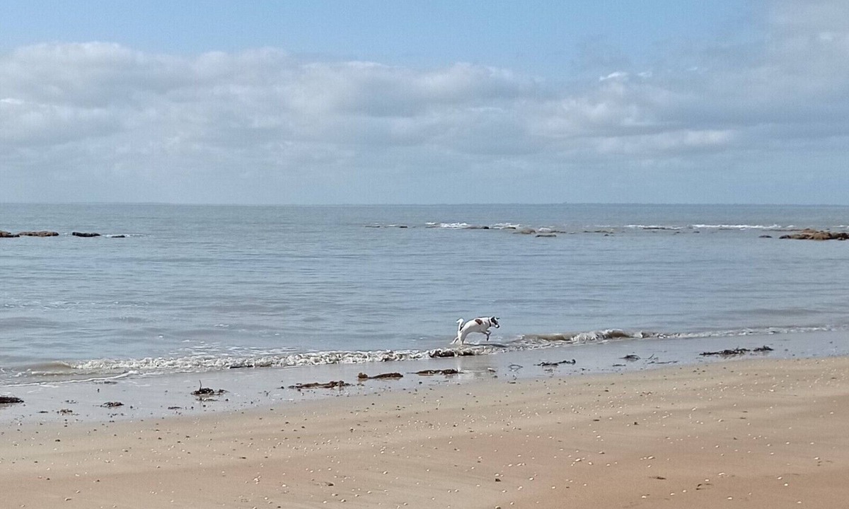 Saint-Jean-le-Thomas Bed & Breakfast | A L'Abri des Vents