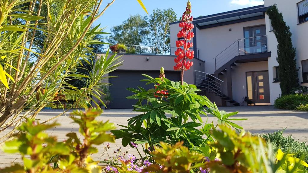 Lampertheim Apartment | A l'Ancien Moulin