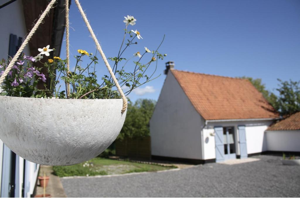 Licques Bed & Breakfast | A l'ombre du prunier